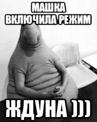 1653464357687.webp