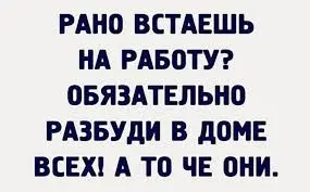 1656046660268.webp