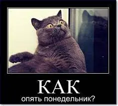 1656925098254.webp