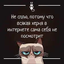 1656997924954.webp