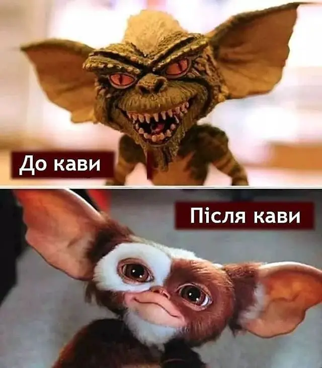 1657264258952.webp