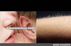 1657372730599.webp