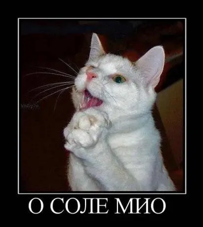 1657947280185.webp