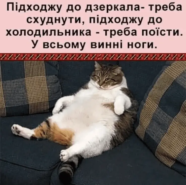 1658994236659.webp