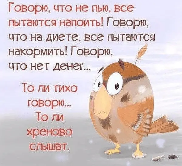 1659301220764.webp