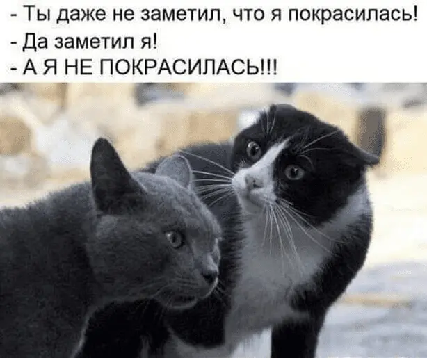 1659338473039.webp