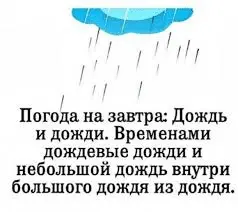 1660710461822.webp