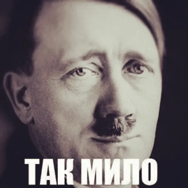 1661695558809.webp
