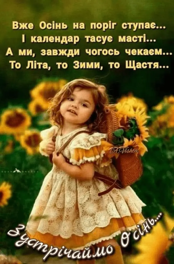 1662029124302.webp
