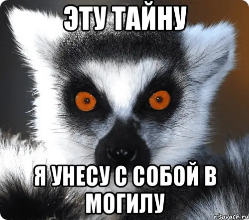 1662038447792.png