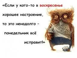 1662319675381.webp