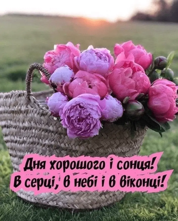 1663230535105.webp