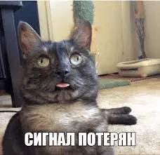 1663266267583.webp