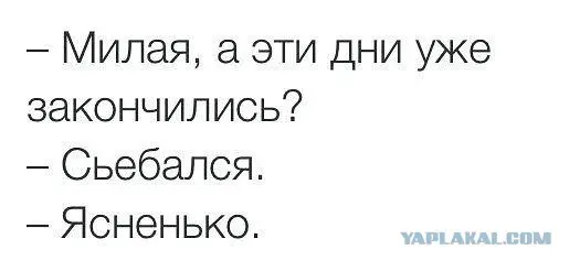 1663430531569.webp