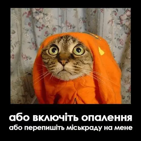 1663783407154.webp
