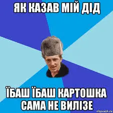 1664360059451.webp