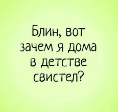 1664370505453.webp