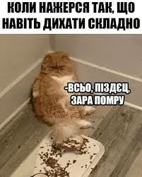 1664649397091.webp