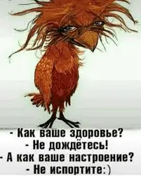 1665474122086.webp