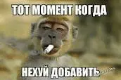 1665950597232.webp