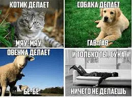 1666027980153.webp