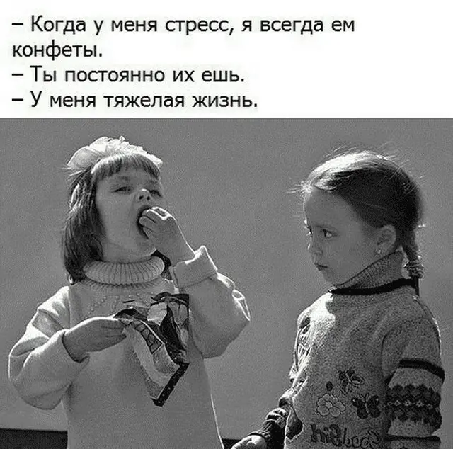 1666066913505.webp