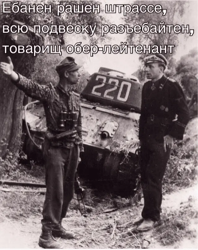 1666163885295.webp