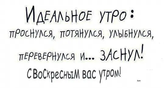 1666508850312.webp