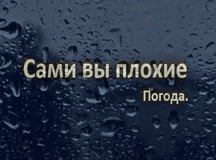 1666528821162.webp