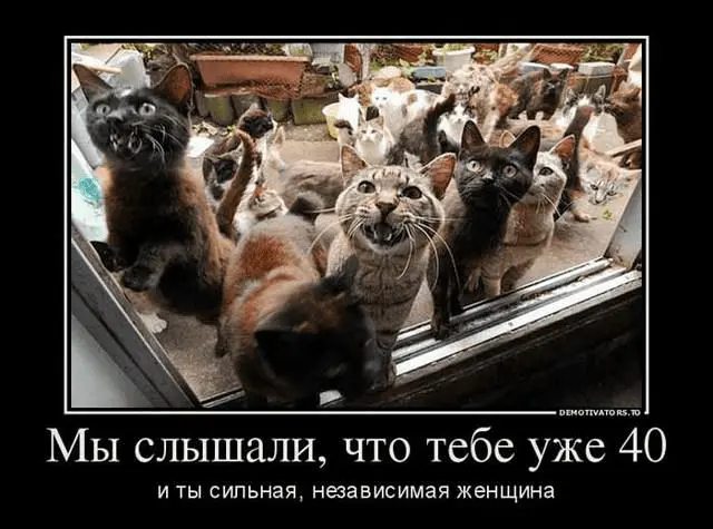 1666549055557.webp
