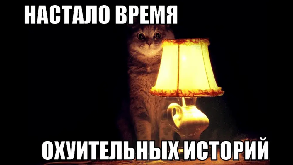 1666769819406.webp