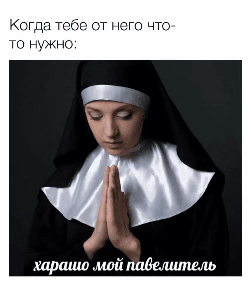 1666964648874.webp