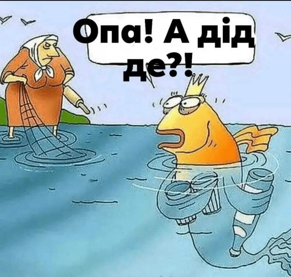 1667052560163.webp