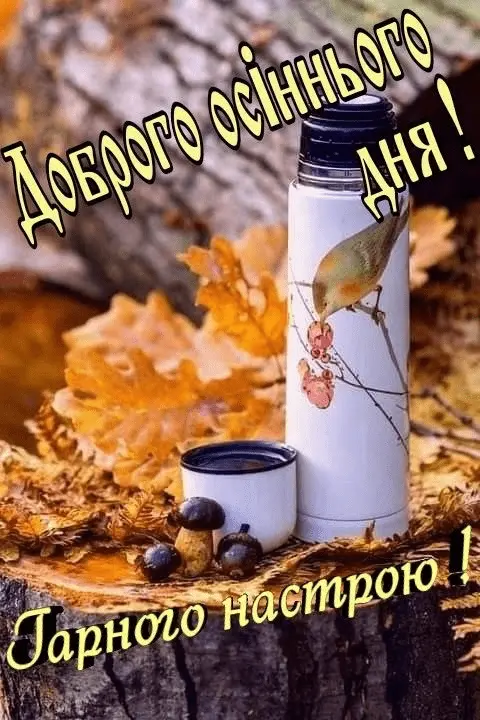 1667118928976.webp