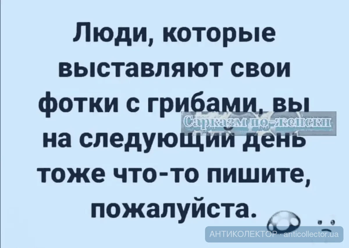 1680250242716.webp