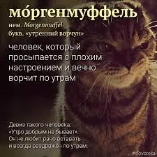 1684652519907.webp