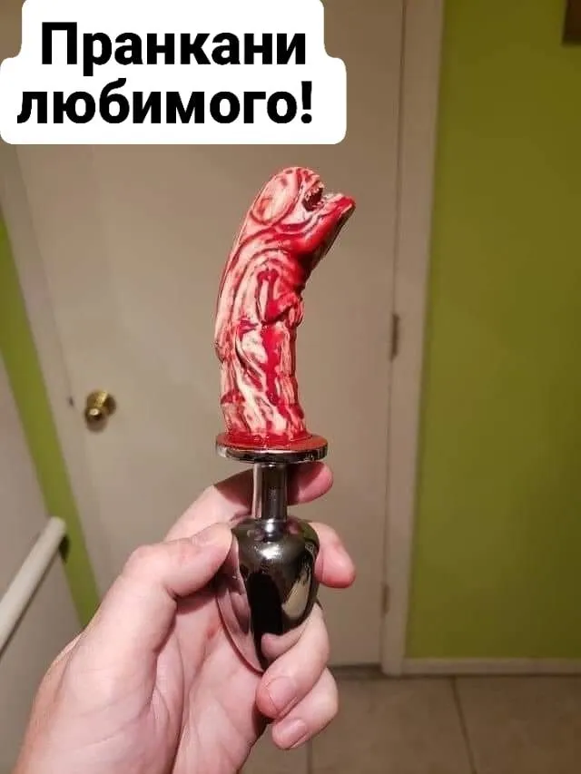 1684737596208.webp