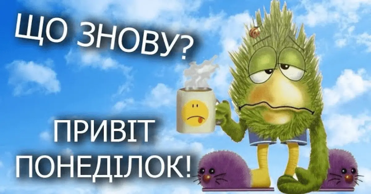1685336638247.webp