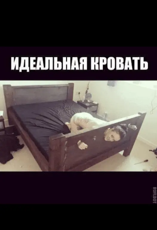 1686131964379.webp