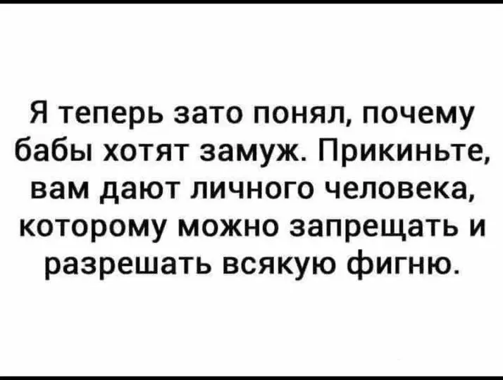 1686133375031.webp