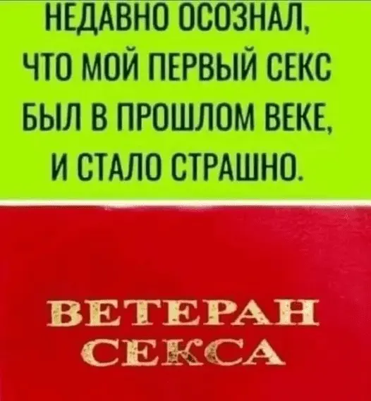 1686300528329.webp
