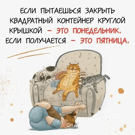 1686310840106.webp