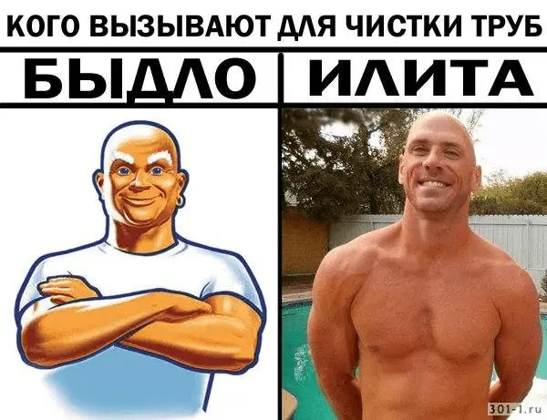 1686323549301.webp
