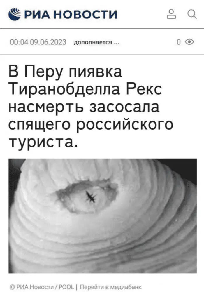 1686380531132.webp