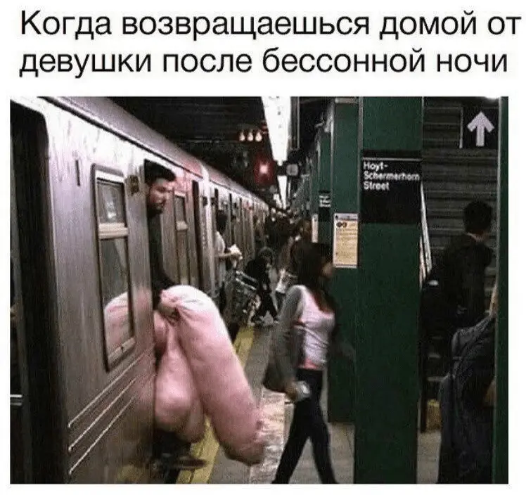 1686684832364.webp