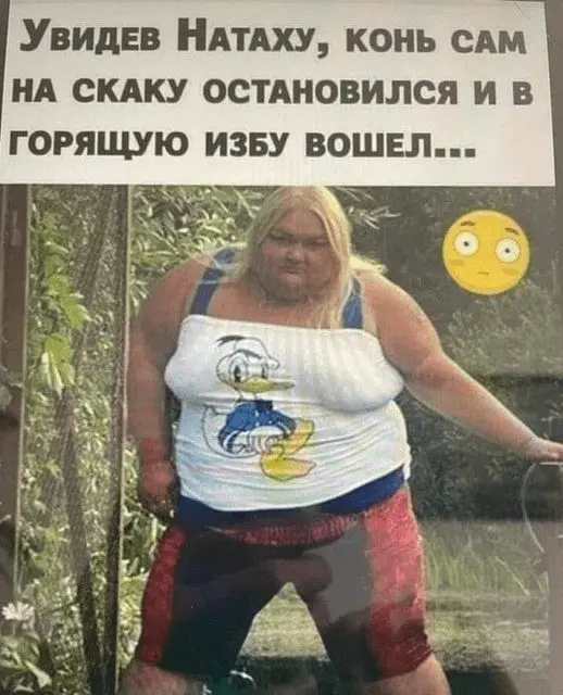 1686732908373.webp