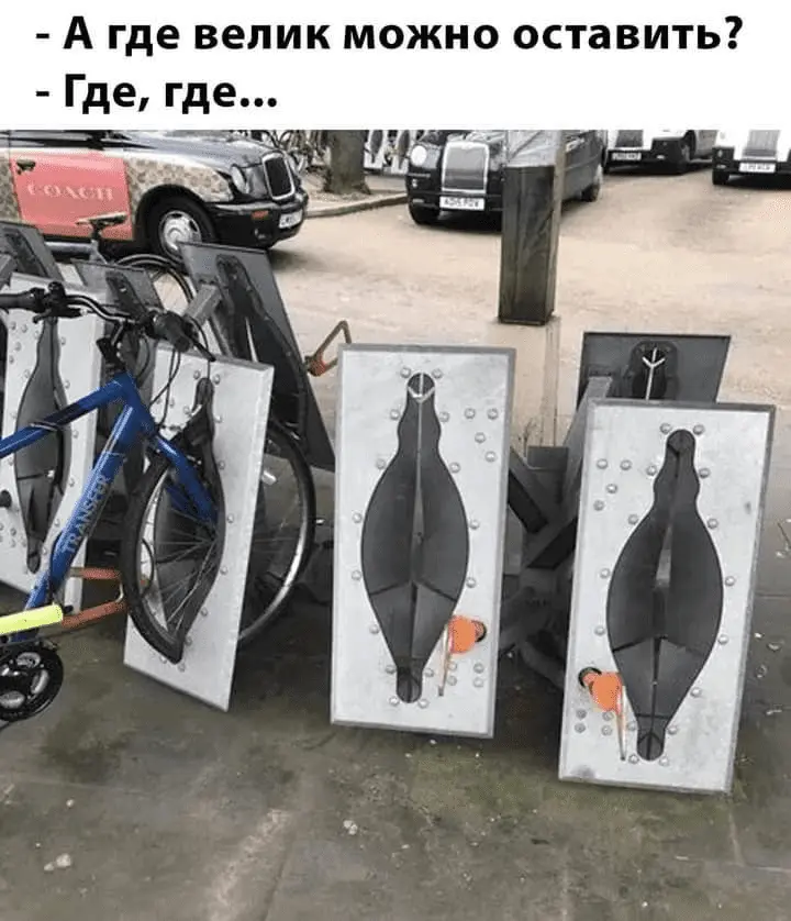 1686857120449.webp