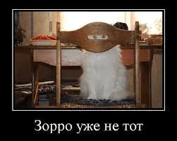 1686919703564.webp