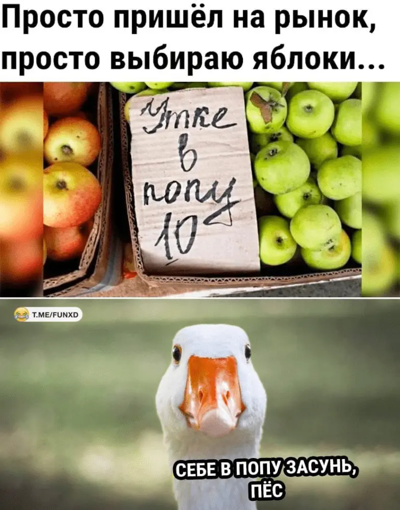 1687023562727.webp