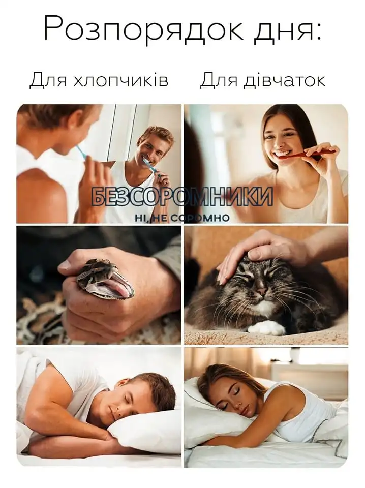 1687240558361.webp